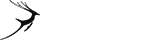 【问题解决方案】完整教程的ddos接单平台